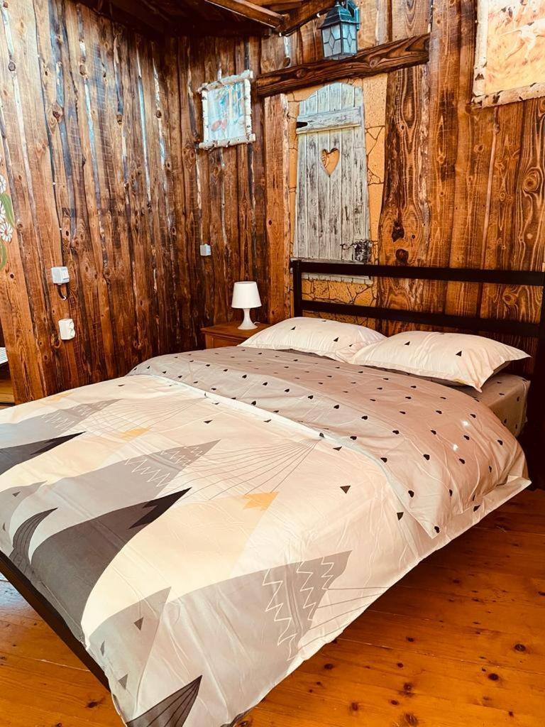 Cabana Vanatorului 8 Sohodol  Exteriör bild