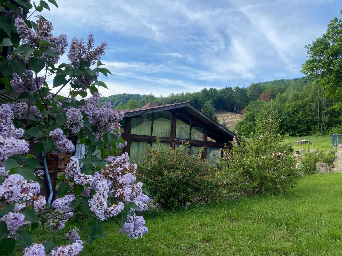 Cabana Vanatorului 8 Sohodol  Exteriör bild